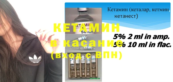 стаф Абинск