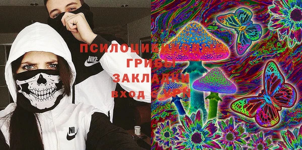 стаф Абинск