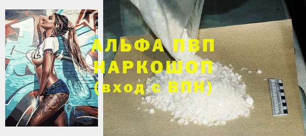 стаф Абинск